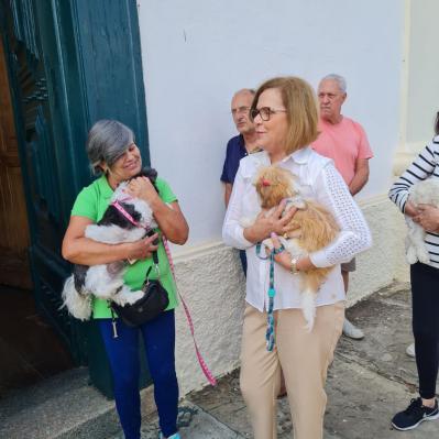 Dia de São Francisco de Assis
