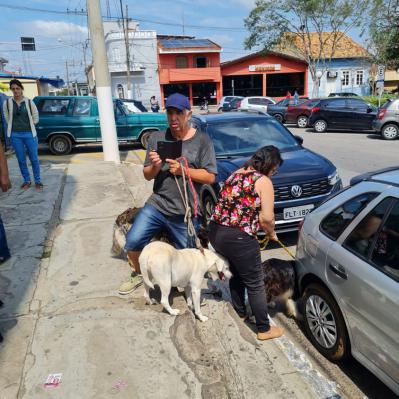 Dia de São Francisco de Assis