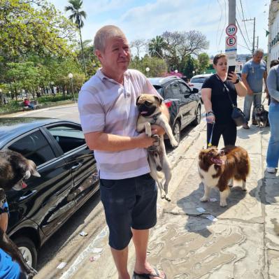 Dia de São Francisco de Assis