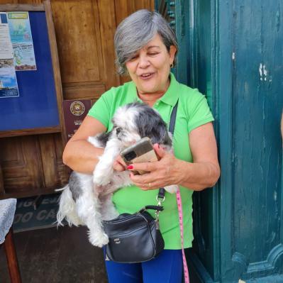 Dia de São Francisco de Assis