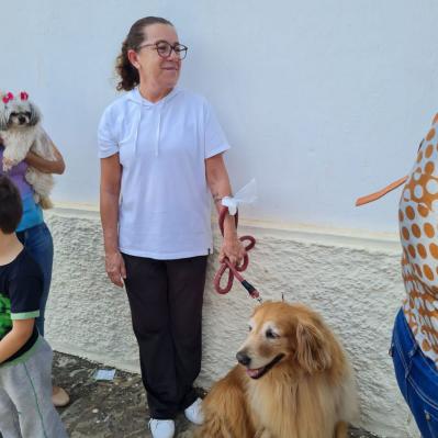 Dia de São Francisco de Assis