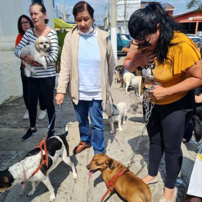 Dia de São Francisco de Assis