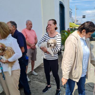 Dia de São Francisco de Assis