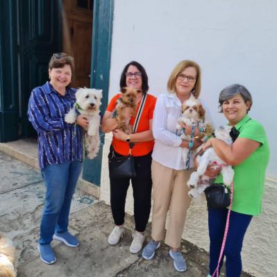 Dia de São Francisco de Assis