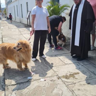 Dia de São Francisco de Assis