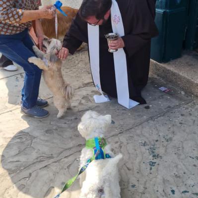 Dia de São Francisco de Assis