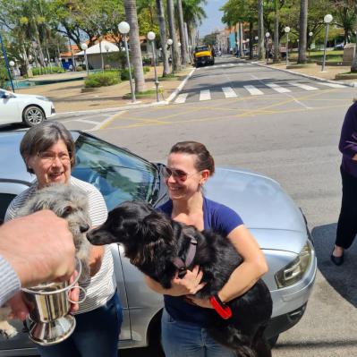 Dia de São Francisco de Assis