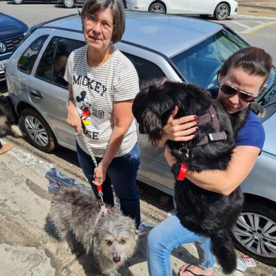 Dia de São Francisco de Assis