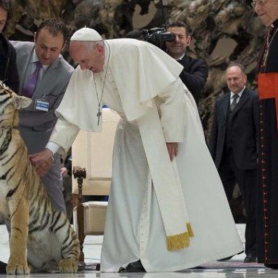 Papa Francisco, no Vaticano, em 2013